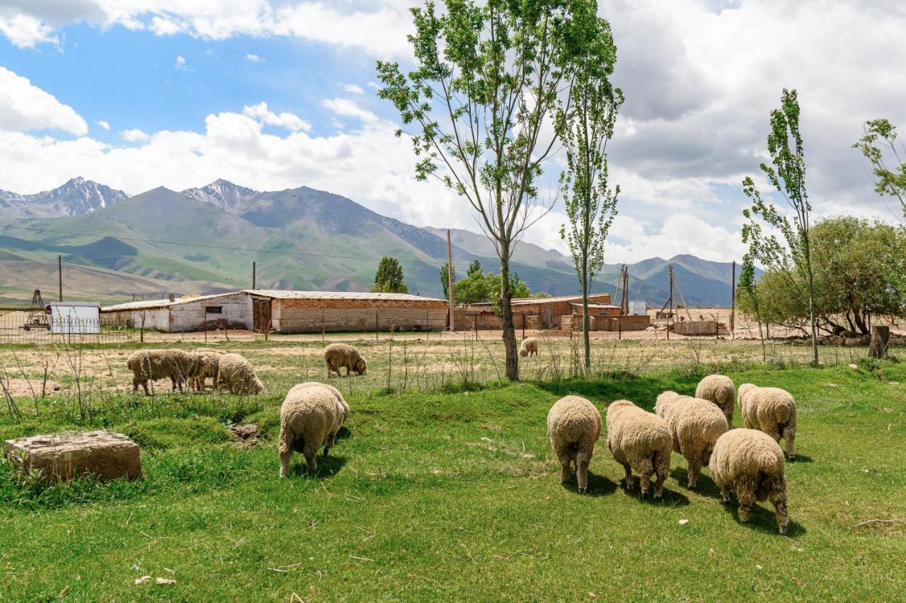 Jaichy Yurt Camp Hotel Kek-Say Bagian luar foto